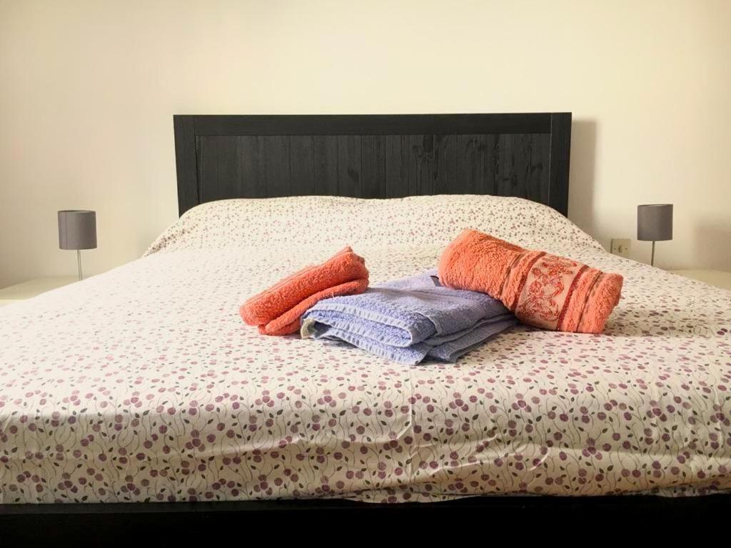 Santa Teresa 15\2 Apartment Торино Екстериор снимка